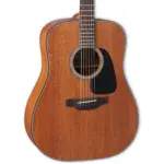 Takamine Guitar GD11M